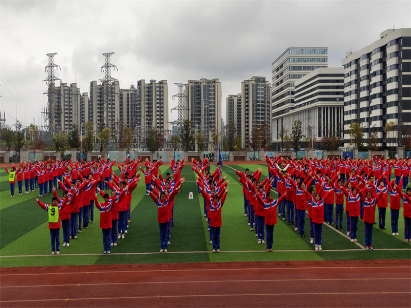 1679973507683072640.png 图片9.png