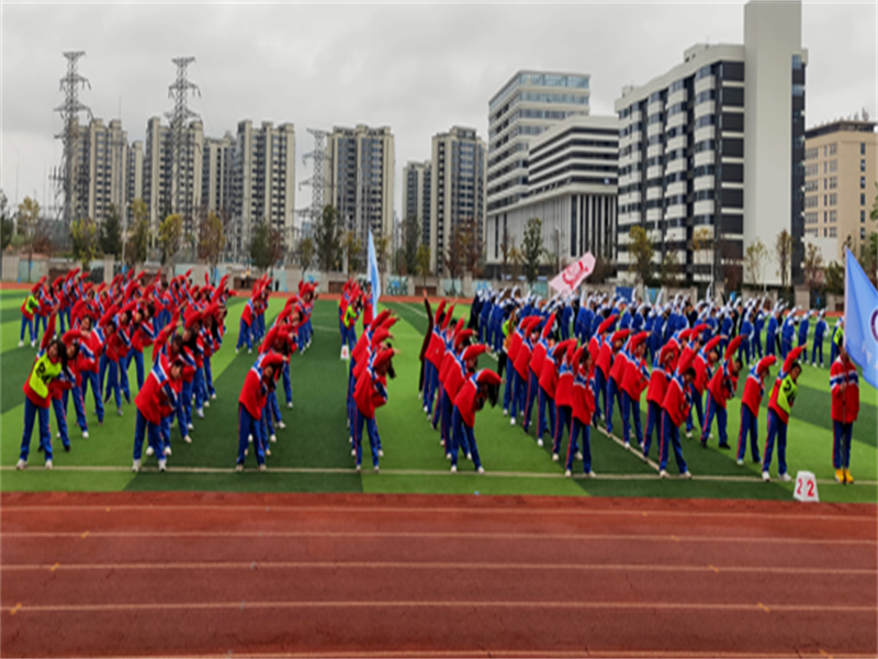 1679973517222082980.png 图片10.png