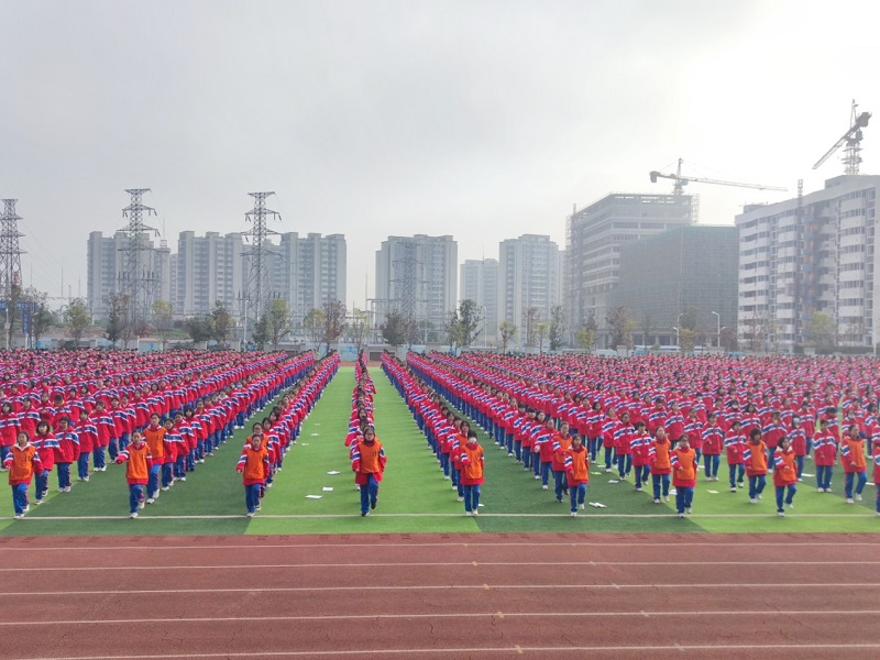 体育.jpg