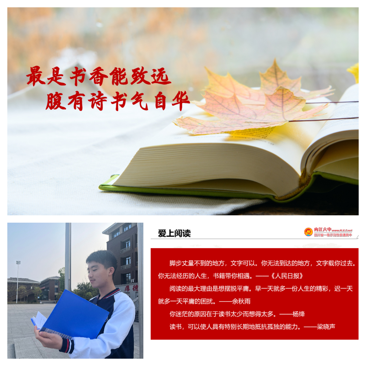1681435122290023869.jpg 下载 (3).jpg