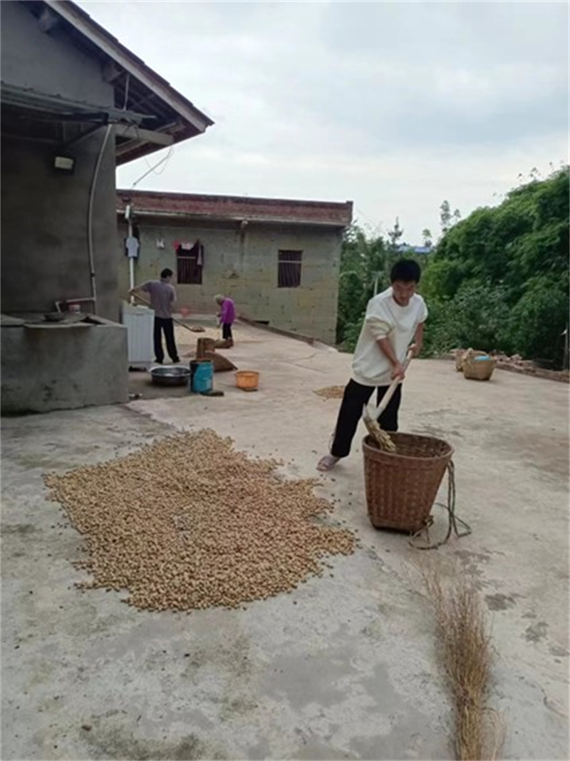 1696996204628036220.jpg 图片38.jpg